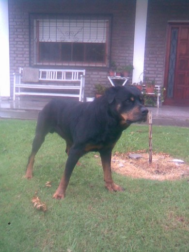 woker mirando haber quien anda cerca de su casa...